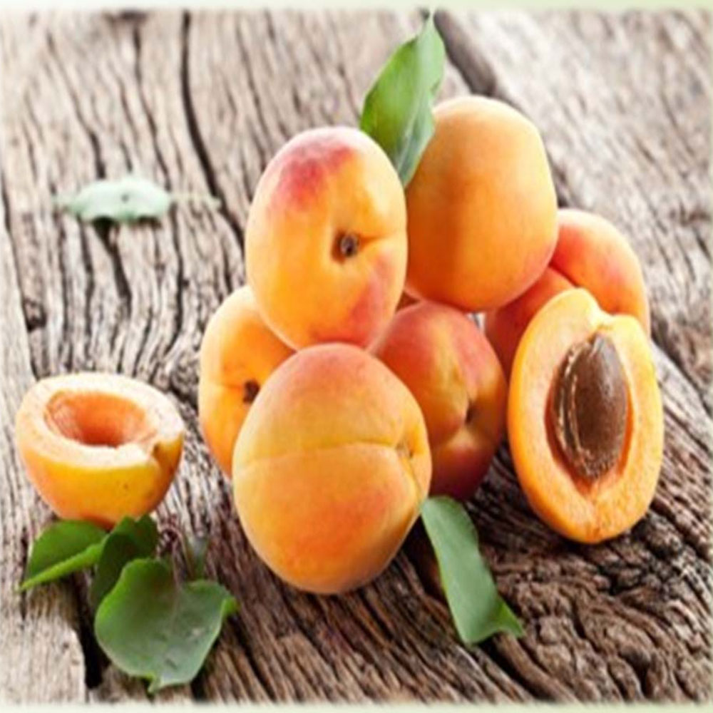 Apricots – Global Food Corridors