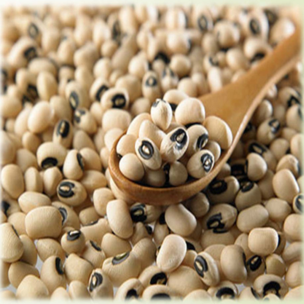 Black Eyed Peas – Global Food Corridors